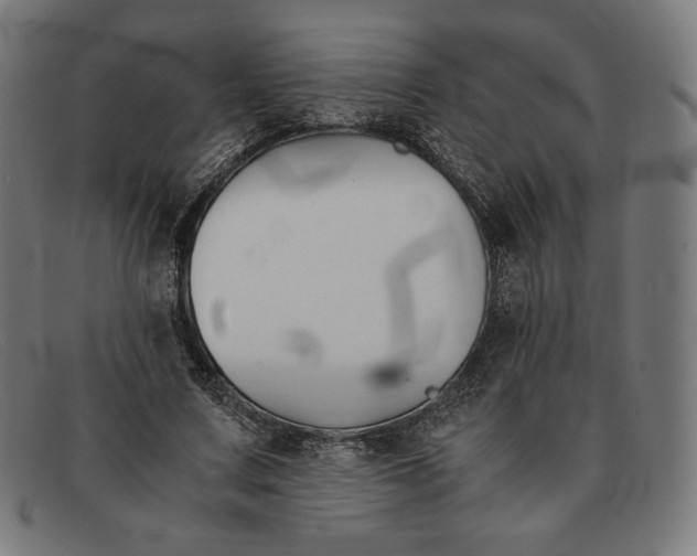 X0000091300683200708311337