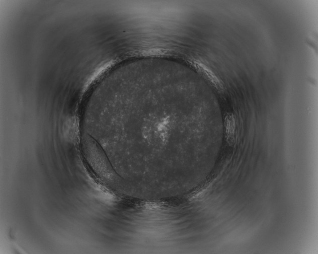 X0000091300684200708311337