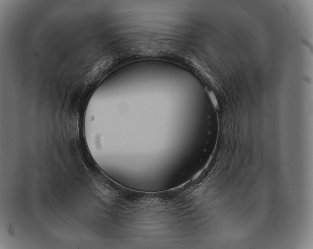 X0000091300685200708311337