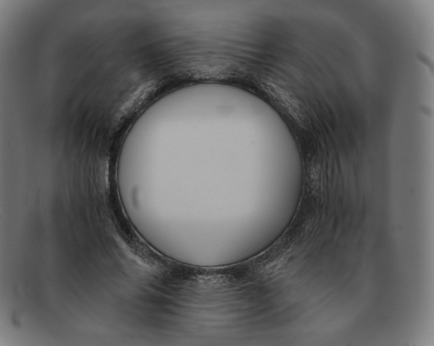 X0000091300686200708311337