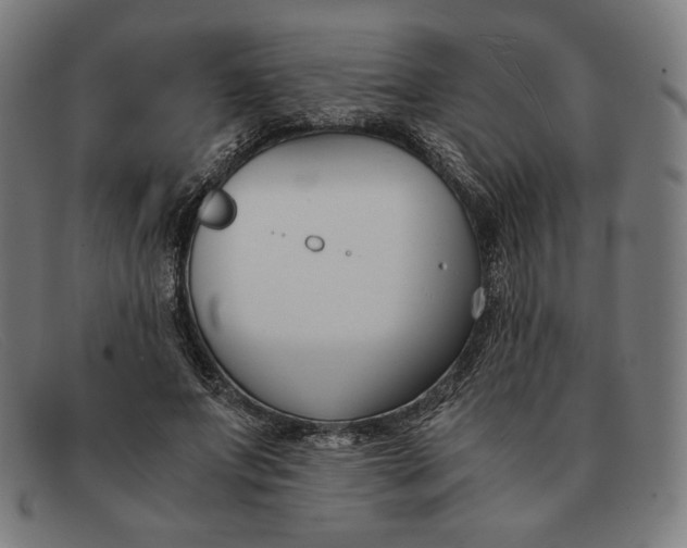 X0000091300687200708311337