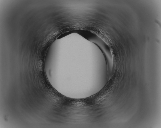 X0000091300689200708311337