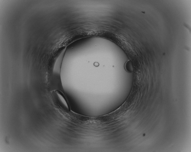 X0000091300691200708311337