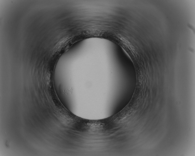 X0000091300693200708311337