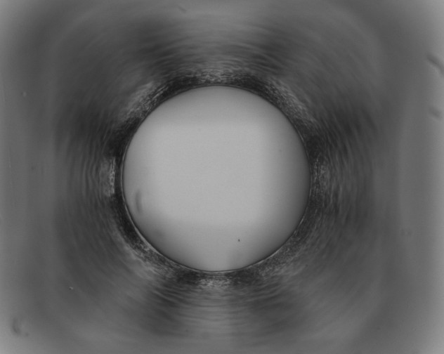 X0000091300694200708311337