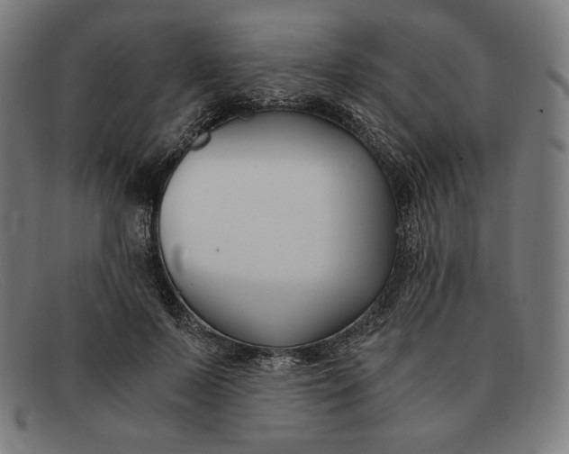 X0000091300695200708311337