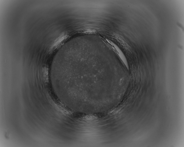 X0000091300696200708311337