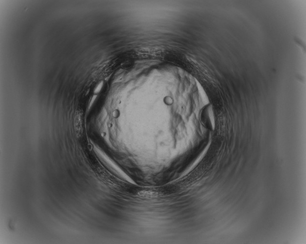 X0000091300699200708311337