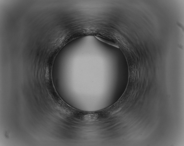 X0000091300700200708311337