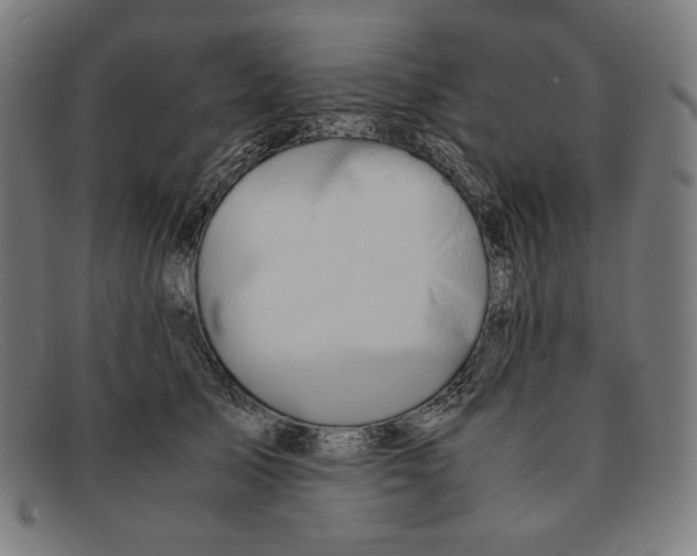 X0000091300705200708311337