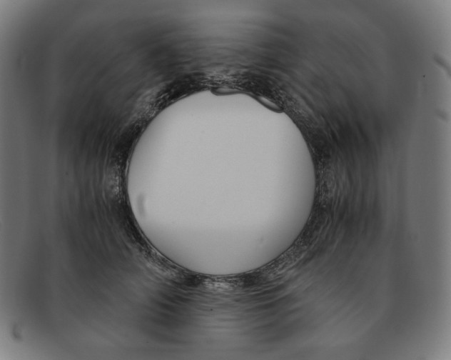 X0000091300706200708311337