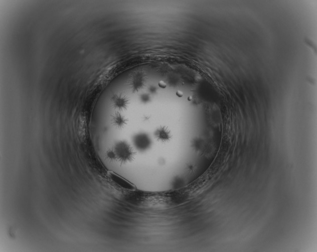 X0000091300708200708311337