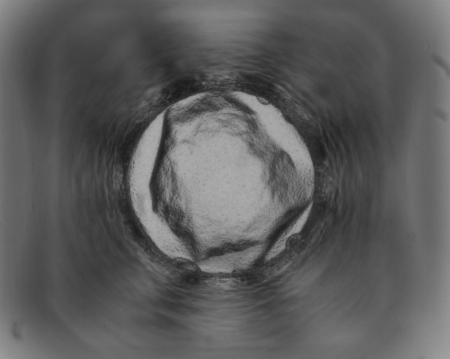 X0000091300711200708311337