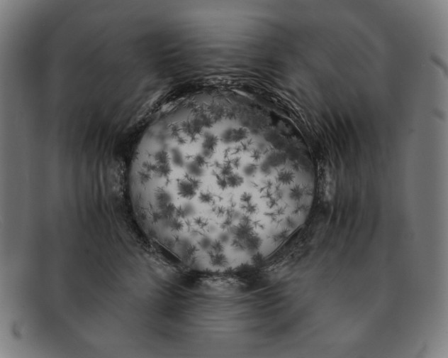 X0000091300712200708311337