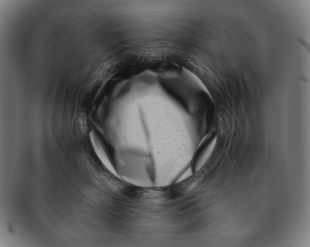 X0000091300718200708311337