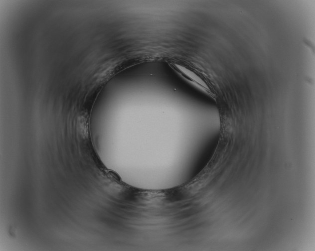 X0000091300719200708311337