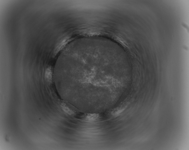 X0000091300720200708311337