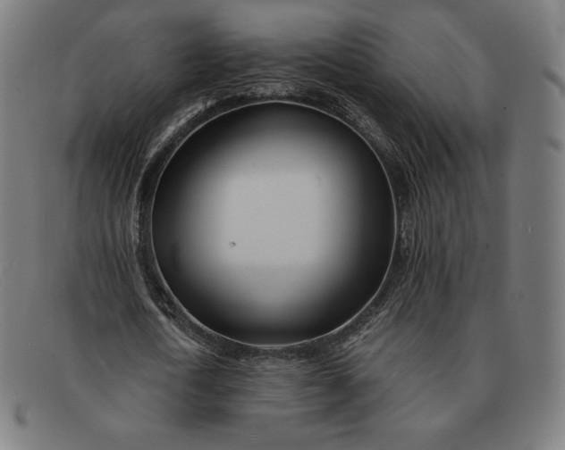 X0000091300722200708311336