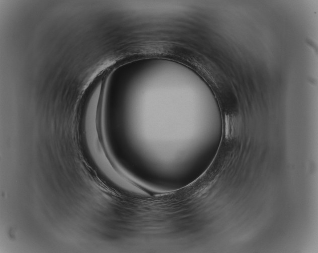 X0000091300723200708311336