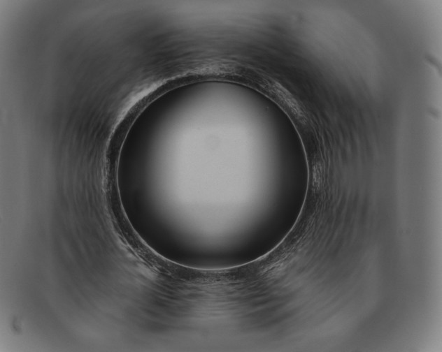 X0000091300724200708311336