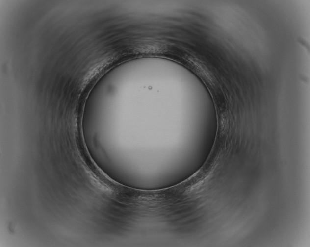 X0000091300725200708311336