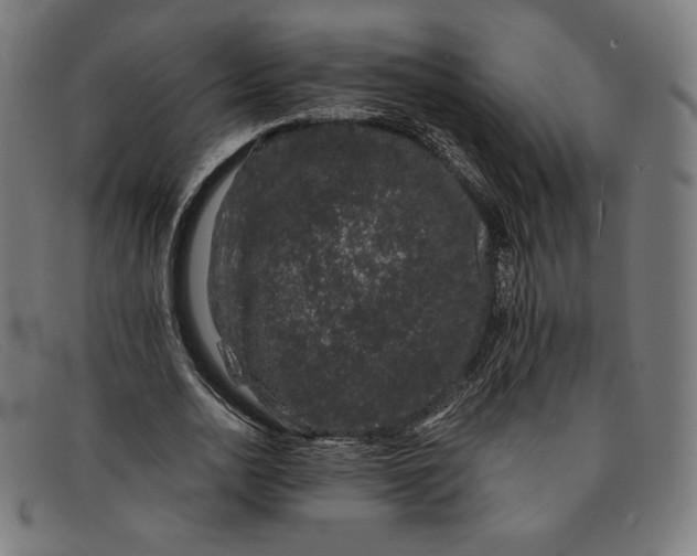 X0000091300726200708311336