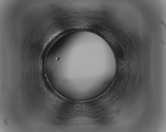 X0000091300727200708311336