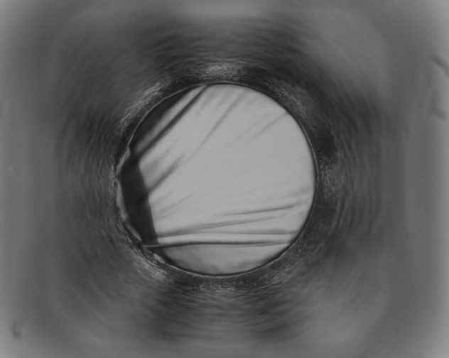 X0000091300729200708311336