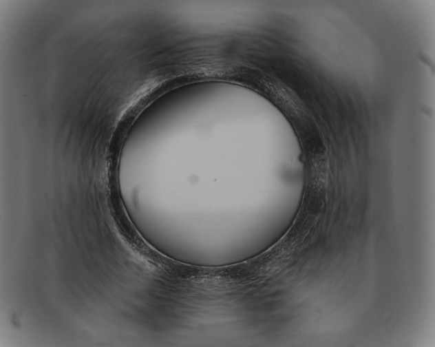 X0000091300730200708311336