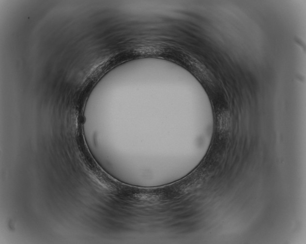 X0000091300733200708311336