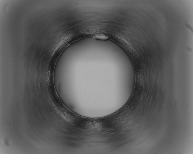 X0000091300735200708311336