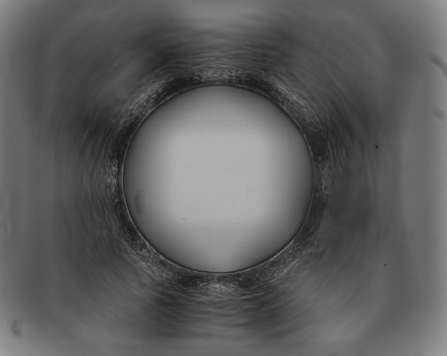 X0000091300737200708311336