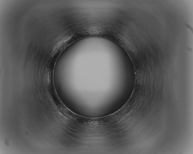 X0000091300740200708311336