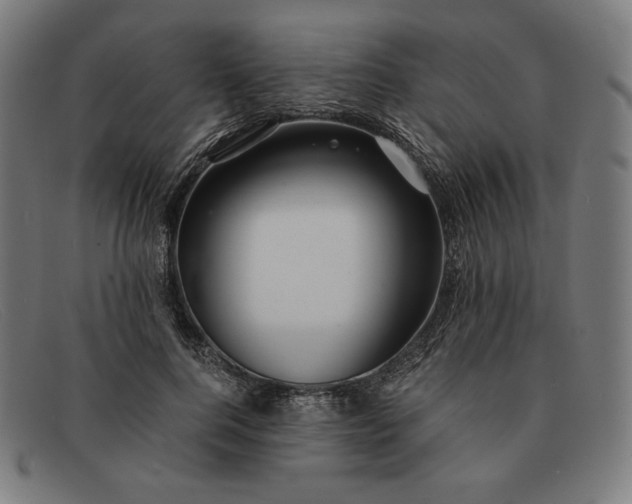 X0000091300744200708311336