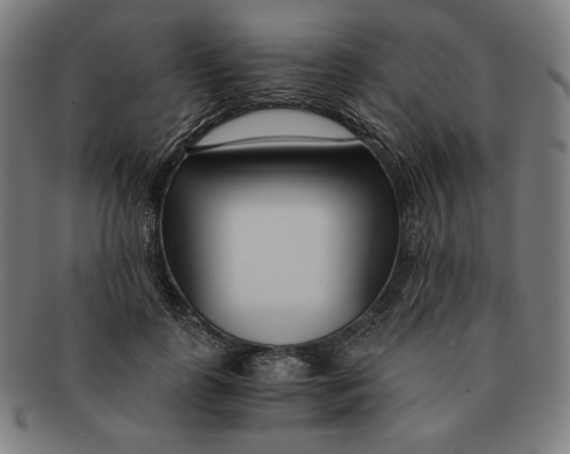 X0000091300747200708311336