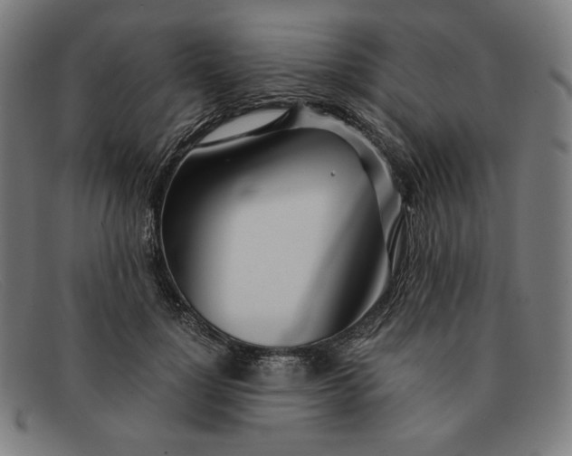 X0000091300748200708311336