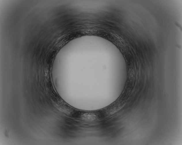 X0000091300749200708311336