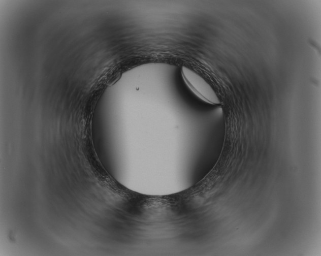 X0000091300750200708311336