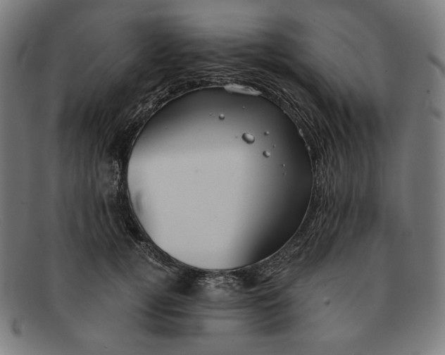 X0000091300752200708311336