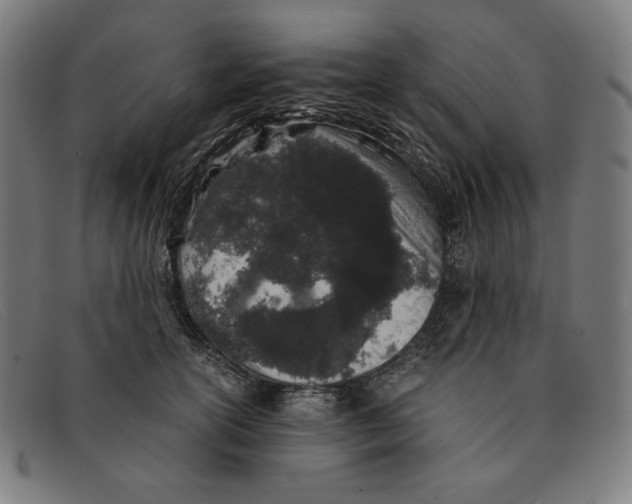 X0000091300754200708311336