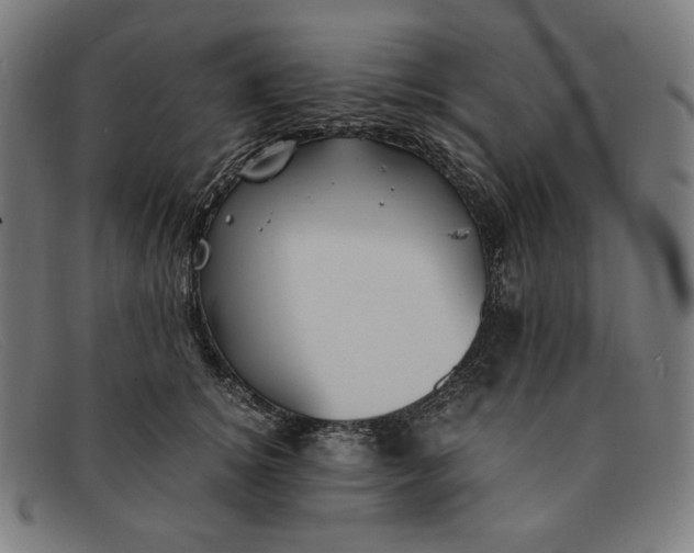 X0000091300756200708311336