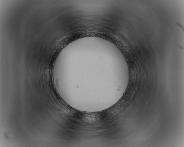 X0000091300757200708311336