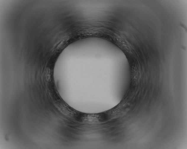 X0000091300758200708311336