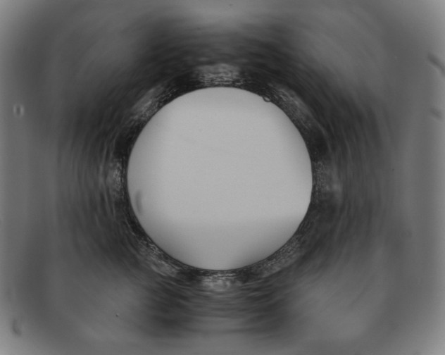 X0000091300761200708311336