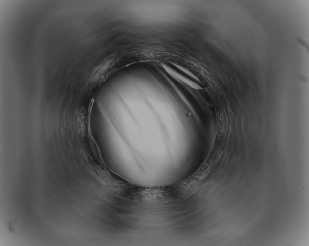 X0000091300762200708311336