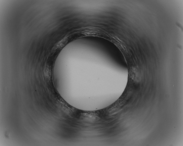 X0000091300763200708311336