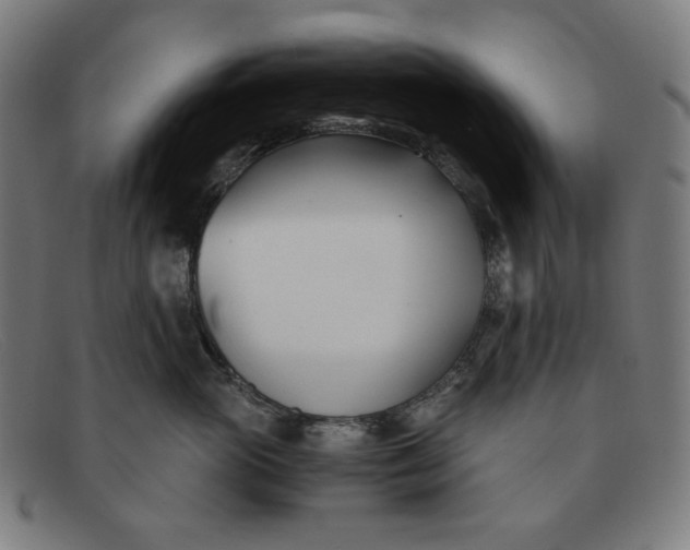 X0000091300765200708311336