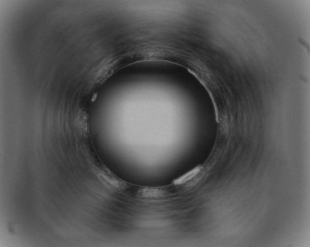 X0000091300766200708311336