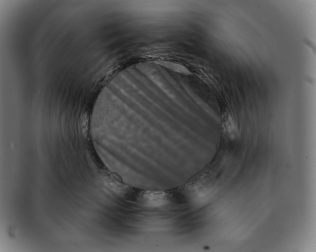 X0000091300767200708311336