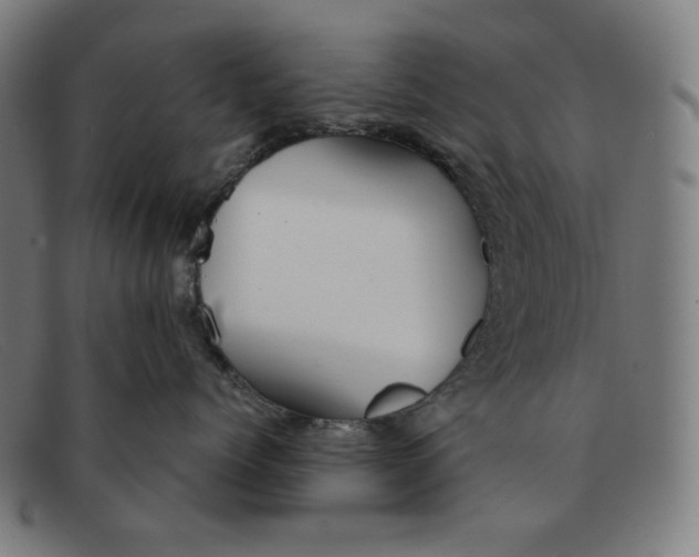 X0000091300768200708311336